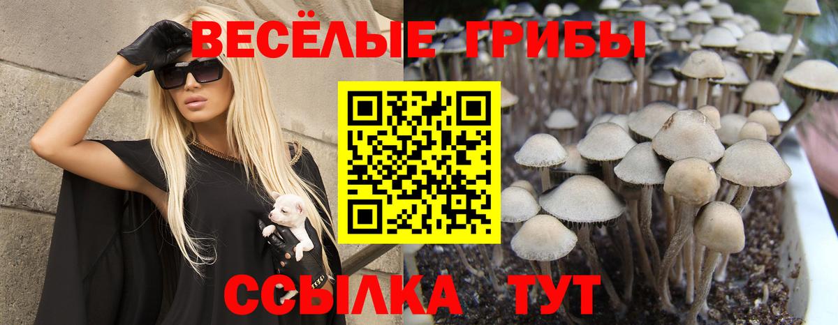 Галлюциногенные грибы прущие грибы  Галлюциногенные грибы прущие грибы  Сергиев Посад  Вход с VPN 